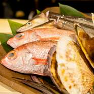 毎日市場から届く魚介類は、天然物にこだわっています。旬の新鮮な魚介を、美味しさがそのまま感じられるお造りや、旨みと風味をより一層引き出せる煮魚などで楽しめます。