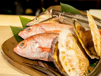 毎日市場から届く天然物。旬の美味しさをお造りや煮魚で堪能！『旬の鮮魚料理』