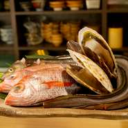 産地より直送された天然ものにこだわった鮮魚を贅沢に使用しています。また、自ら市場に出向き目利きした新鮮な食材を仕入れています。どれもこれも素材にあった調理法で調理しますので、ぜひお試しください！