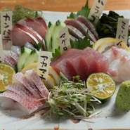地元の魚の刺身盛合せです。単品と3点盛りと6点盛りがあり、天候などにより食べられる魚の種類は変わりますが、その日仕入れた採れたての魚を味わえます。