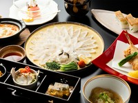 少し厚めに引かれているので、歯ごたえ抜群『とらふく刺し』