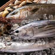 【裕太朗寿し】を運営しているのは、実は水産会社。市場内に店舗を構えることで余分な流通コストを省き、確かな目利きで仕入れた魚を提供できる仕組みになっています。