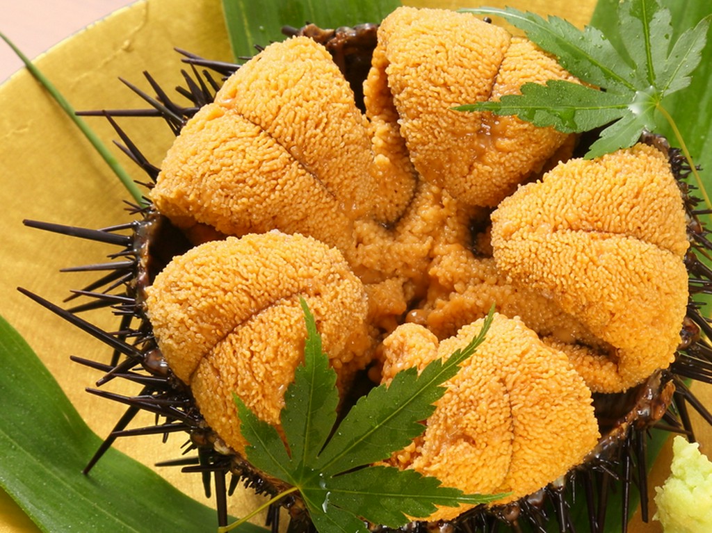 ガゼ雲丹（宮城・石巻産）