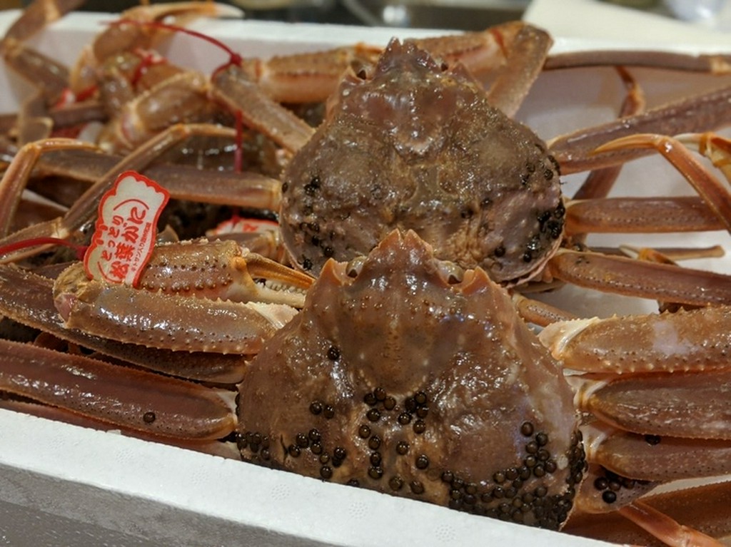 季節の特別料理