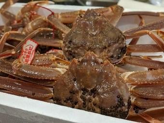 季節の特別料理