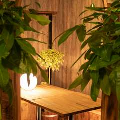 【個室】庭園の隠れ家個室