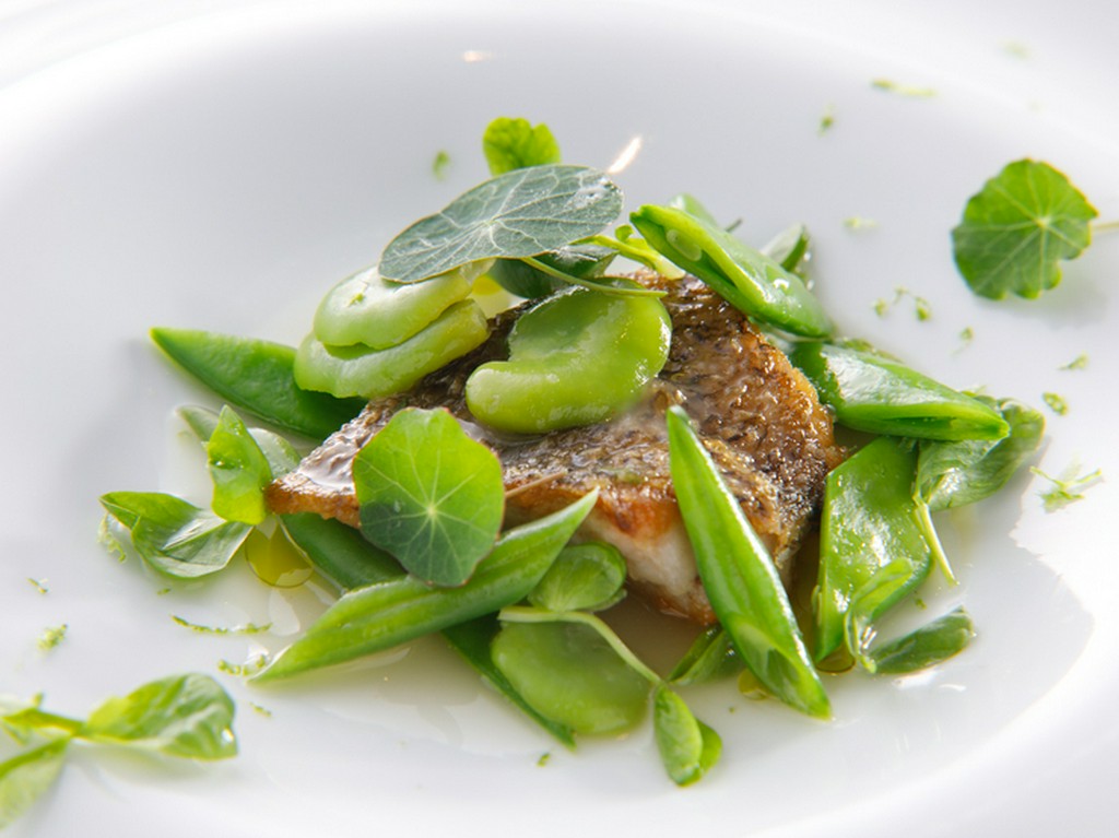 香ばしく焼きあげた天然鮮魚