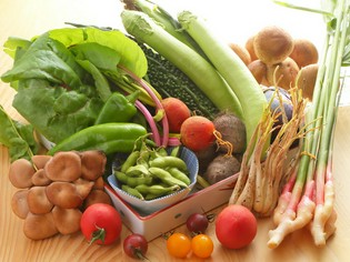 四季折々の自然が育んだ、野菜の美味しさをお届け