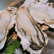 ※検査済みの安全な生牡蠣をご提供しておりますが、生ものですので体調不良の方はご遠慮ください。