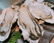 ※検査済みの安全な生牡蠣をご提供しておりますが、生ものですので体調不良の方はご遠慮ください。