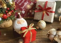 日頃の感謝を込めてお贈りする2025年クリスマス限定のスペシャルディナーコースです。