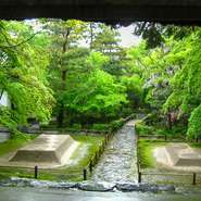 ●「京の四季 名勝散策　写真集」
https://blog.goo.ne.jp/kappou-fujiwara

「割烹ふじ原」のご主人が更新しているブログ。
京都の四季を写真でご紹介。