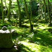 このような美しい風景なども、土地の情報と共にお伝えしております。