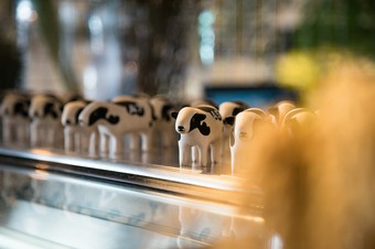 子どもにちょうど良いお子様メニューも手頃
