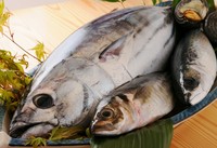 ※入荷状況によりお出しできない場合あります