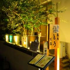 一人でもゆったりと過ごせるカウンター席があるのがうれしい				