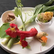 四季折々の美味しさを楽しめるコースメニュー。その日仕入れた食材からメニューを組み立てるため、訪れるたびに異なる料理を味わえます。シェフ五島氏の経験と技、そしてセンスが生み出す一皿で季節の味を満喫。