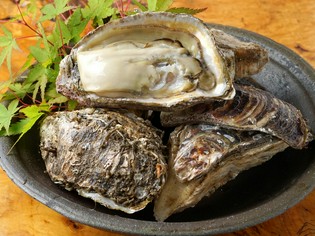 確かな目利きで仕入れる新鮮さにこだわった「牡蠣」や「魚」