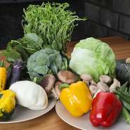 穫れたての瑞々しい旬野菜は多彩な品を仕入れて各料理に使います。五感で味わう【MARUKO】の料理に欠かせない素材たちです。