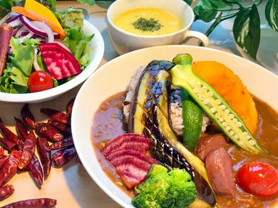 ゴロゴロ野菜とひき肉の菜七彩-なないろ-カレーベジポタセット