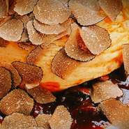 イタリア産生トリュフのフレンチオムレツ