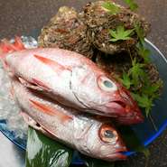 いわゆる高級食材と言われる「のどぐろ」や、夏が旬の「岩牡蠣」などを産地から直送することにこだわります。店主が長年培ってきた業者や漁師の方との信頼関係において、直接のやりとりが可能となっています。