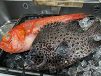 鴨ロース、季節の魚介、黒毛和牛ステーキが付いてます。
ステーキはランプ&ロース食べ比べになっております。