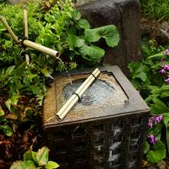 つくばいを配した、本格的な日本庭園