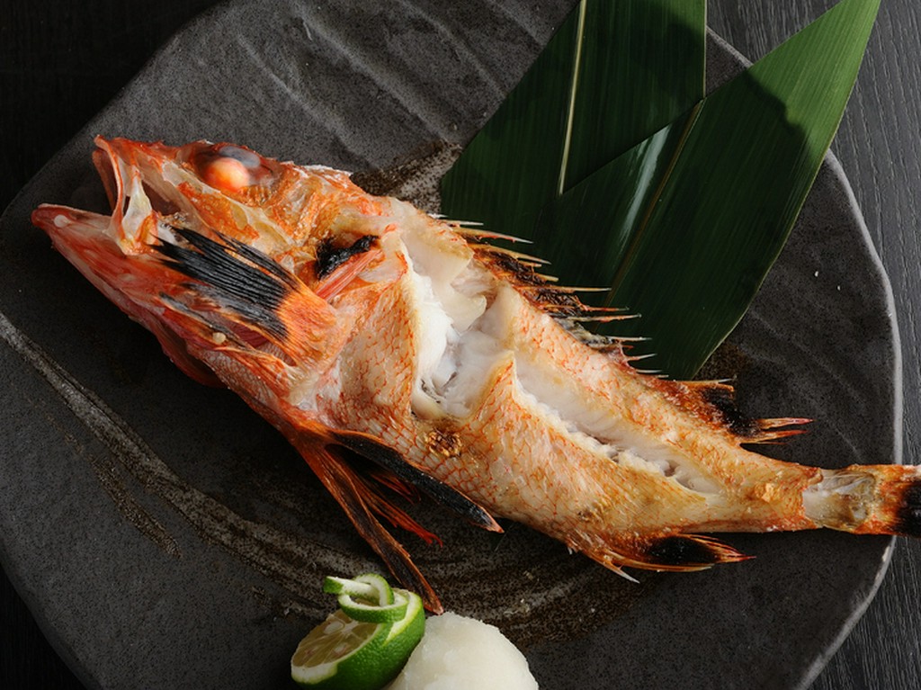 皮はパリッと、身はふっくら。極上の「その瞬間」を味わう『キンキ塩焼き』1匹