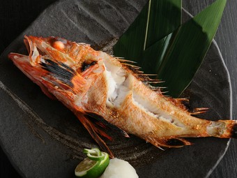 皮はパリッと、身はふっくら。極上の「その瞬間」を味わう『キンキ塩焼き』1匹