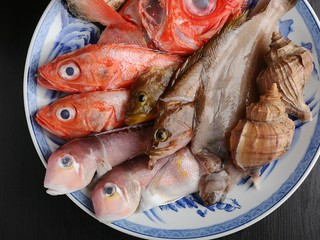 キンキ、のどぐろなどの多彩な魚をお好みの食べ方で