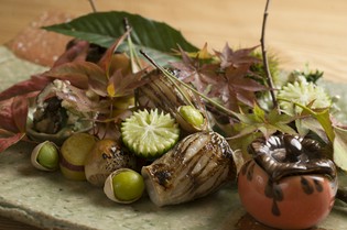 旬の食材を多く使用。訪れるごとに違った料理に出会える楽しみも