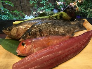 舞鶴や愛媛から直送で届く、新鮮な魚介類を堪能