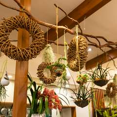 みずみずしい緑や可憐な花々が彩る店内