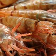 当店は三国漁港まで車で1分という立地を活かし、鮮度抜群の素材を使い様々な料理を提供しております。特に、日本一、足の速い（鮮度の劣化が早い）海老として有名な、越前海老を様々な料理で提供しております。