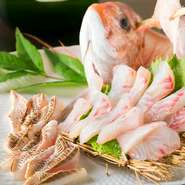 漁師をしているシェフの父親が瀬戸内海で釣り上げた鮮度抜群な魚を、姿造りで調理します。タイやアジ、ハゼ、メバルなど、季節の味わいを満喫できます。