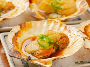 Rikimarurobatayakitanukichaya