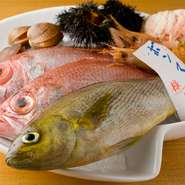 豊富な魚介が獲れる長崎・平戸からは直送で旬魚を入手しています。加えて、目利きの鋭い名店が軒を連ねる豊洲市場でも毎朝仕入れ。時期によっては、函館のウニも直接届きます。