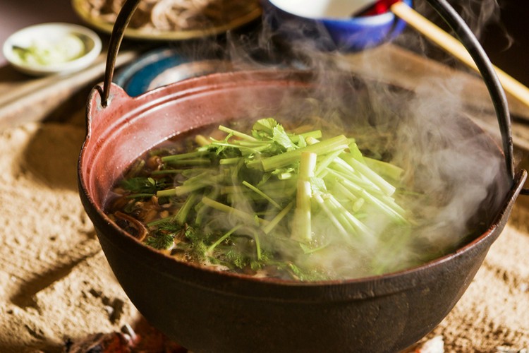 出羽屋の山菜料理＜増補版＞ | 出羽屋オンラインストア