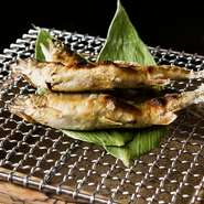 山形県で採れた新鮮な鮎を塩焼きに。鼻孔をくすぐる芳しい香りと、ほろほろとほどけていくほど柔らかい食感にうっとり。旨みがたっぷり詰まった鮎と塩気が調和し、ついついお酒が進みそうな一品です。