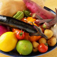 三河の季節食材＆オーガニック菜園の旬野菜など佐賀直送の素材