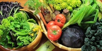 シェフのスペシャルコース