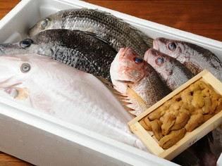 高知・宿毛や鹿児島から直送仕入れする新鮮な旬魚介が多数!
