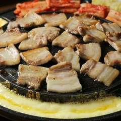 韓国料理の定番【サムギョプサル】を楽しめる90分飲み放題付きコース
女子会、宴会にご利用くださいませ。