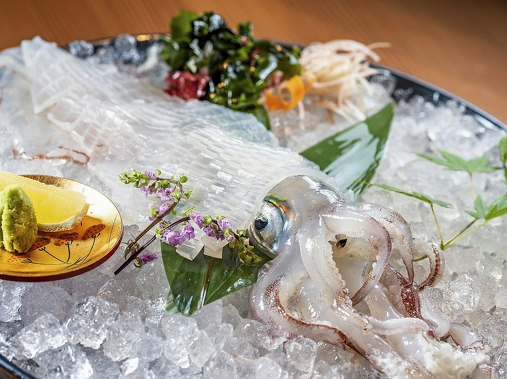 ≪オススメ≫ イカの活き造り（100g～）唐津呼子産直送※総本店、西中洲店限定メニュー