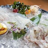 唐津呼子から直送！みずみずしく透き通った新鮮なイカの活き造りは感動する美味しさ！接待や大切な方をおもてなすのにピッタリな逸品です。後造りが付いておりますので天ぷらか塩焼きかお刺身かをお選び頂けます。