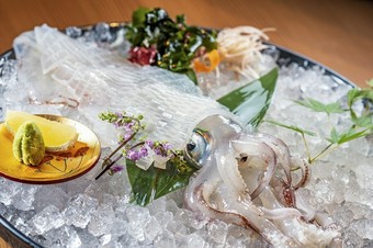≪オススメ≫ イカの活き造り（100g～）唐津呼子産直送※総本店、西中洲店限定メニュー
