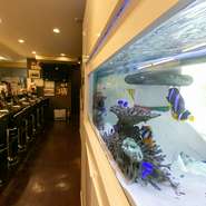 最大20名まで収容可能な大広間も2部屋あるので、団体での利用も可能です。店内に入れば、そこには巨大な海水魚の水槽が。フォトジェニックでインパクト抜群です。ゆったりと食事ができる癒しの空間です。