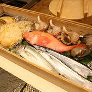 北海道産の鮮魚を中心に、旬の魚介類が勢揃い