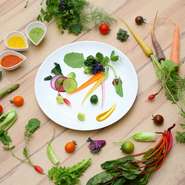 毎日60品種以上・年間約350品種の糸島野菜を使用